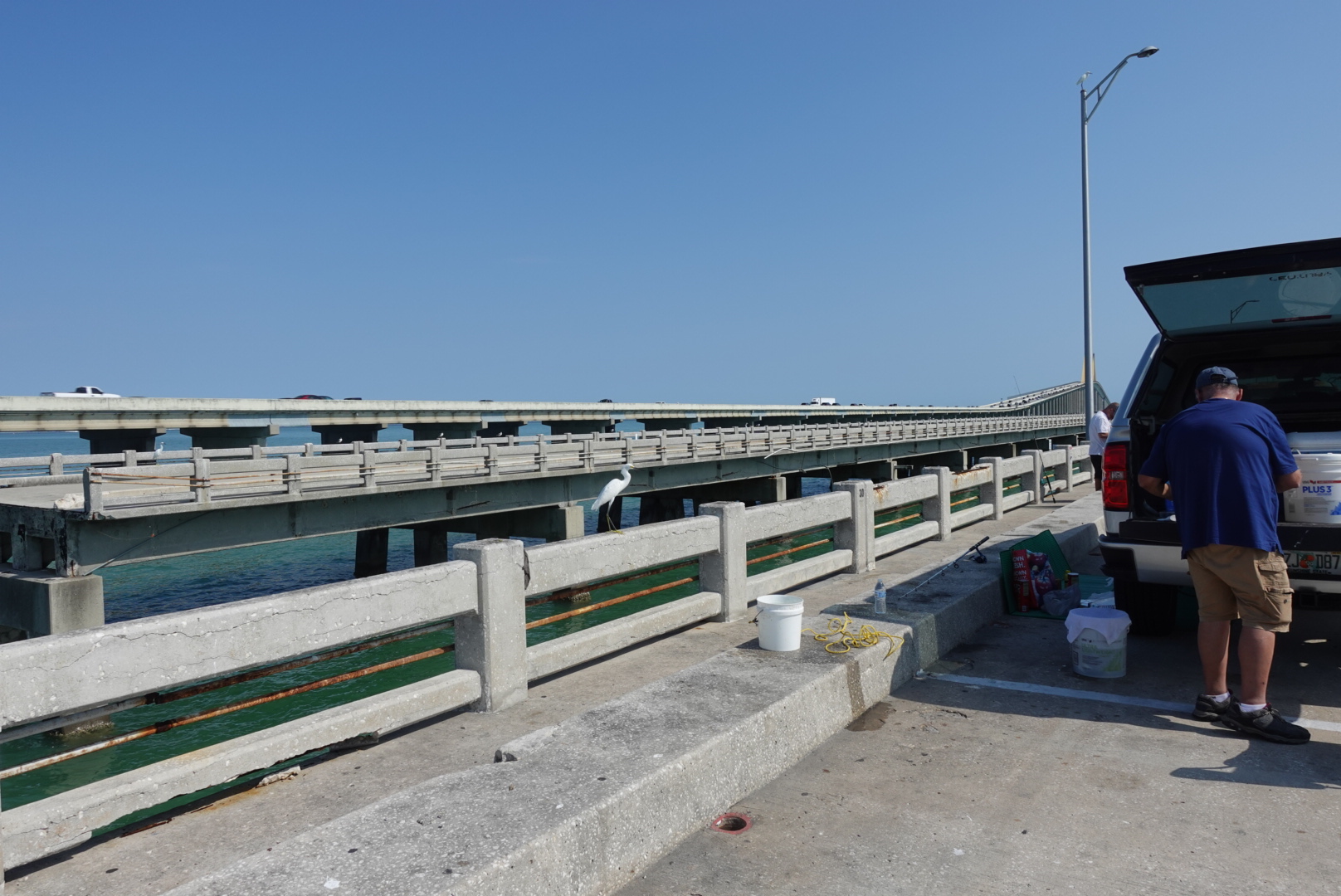 scene bridge