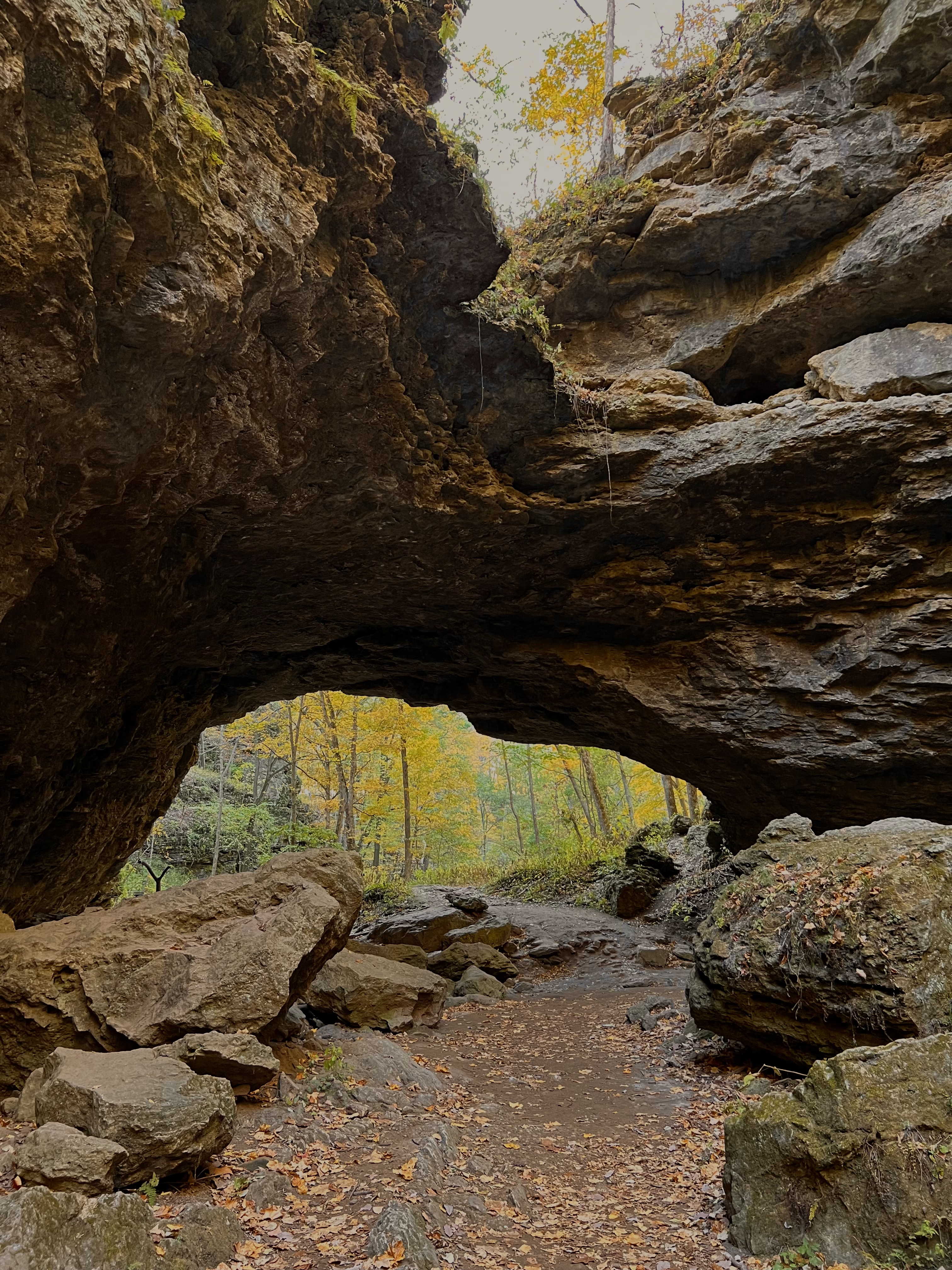 Image 15