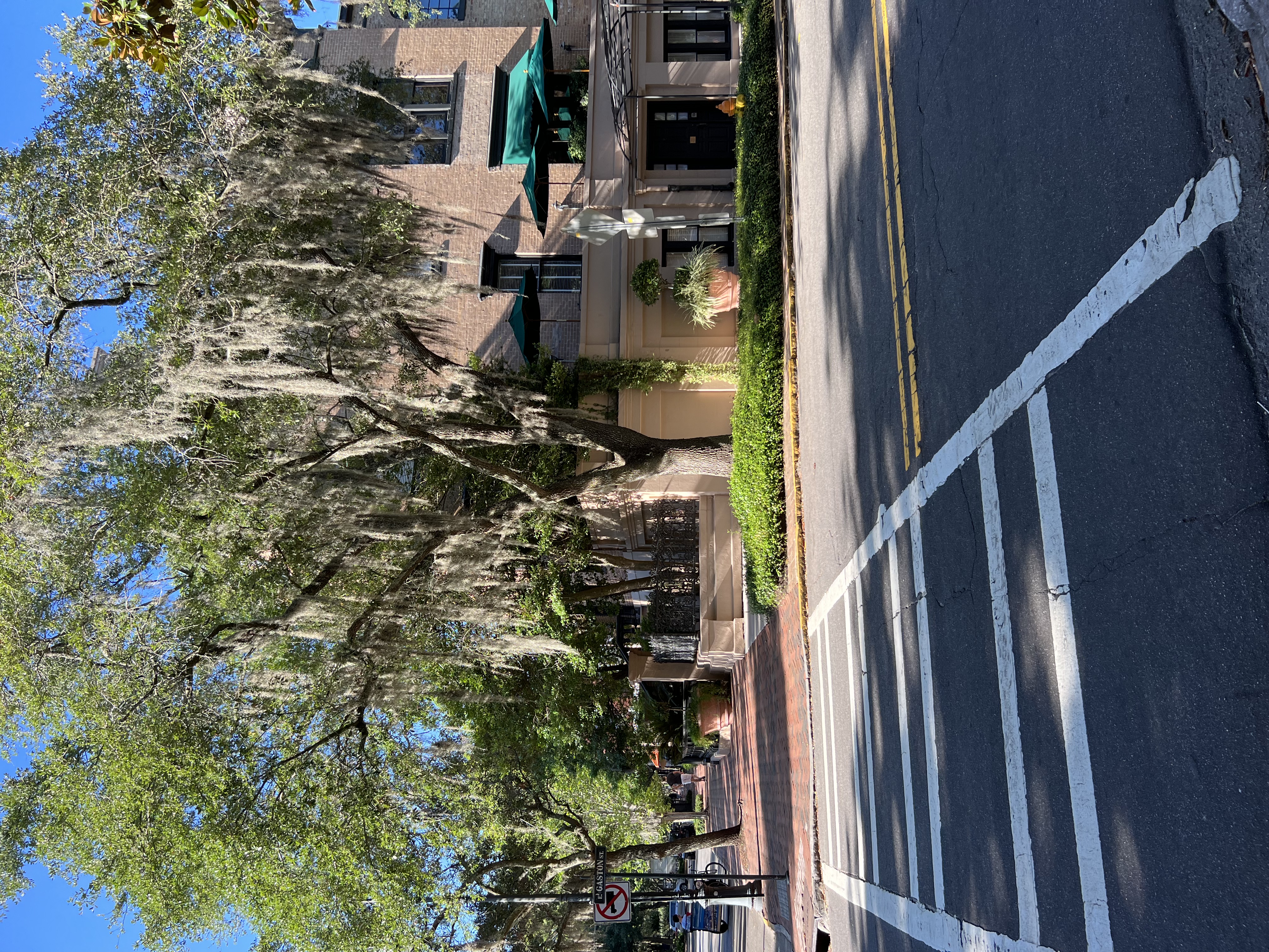 georgia 4