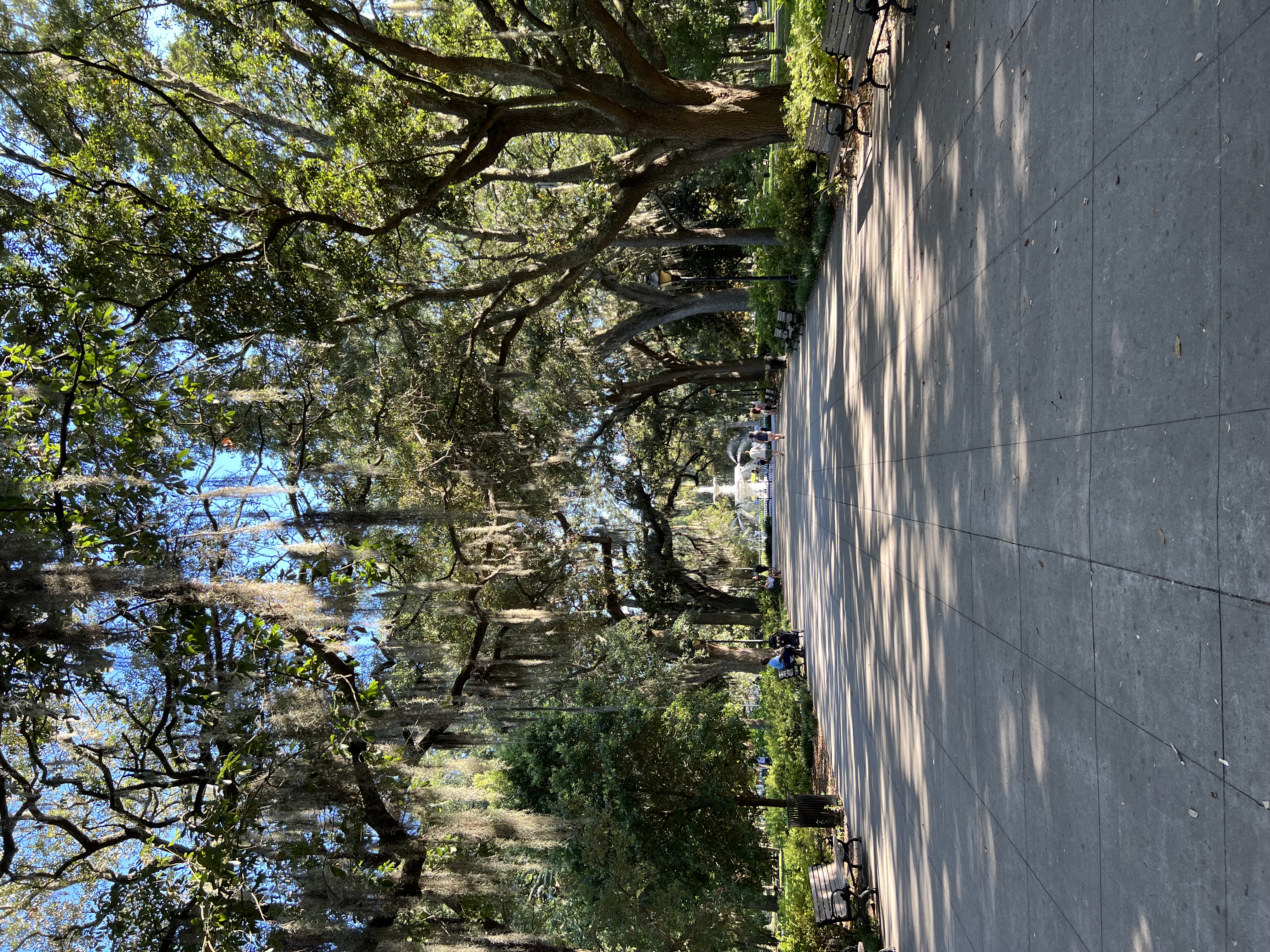 georgia 5