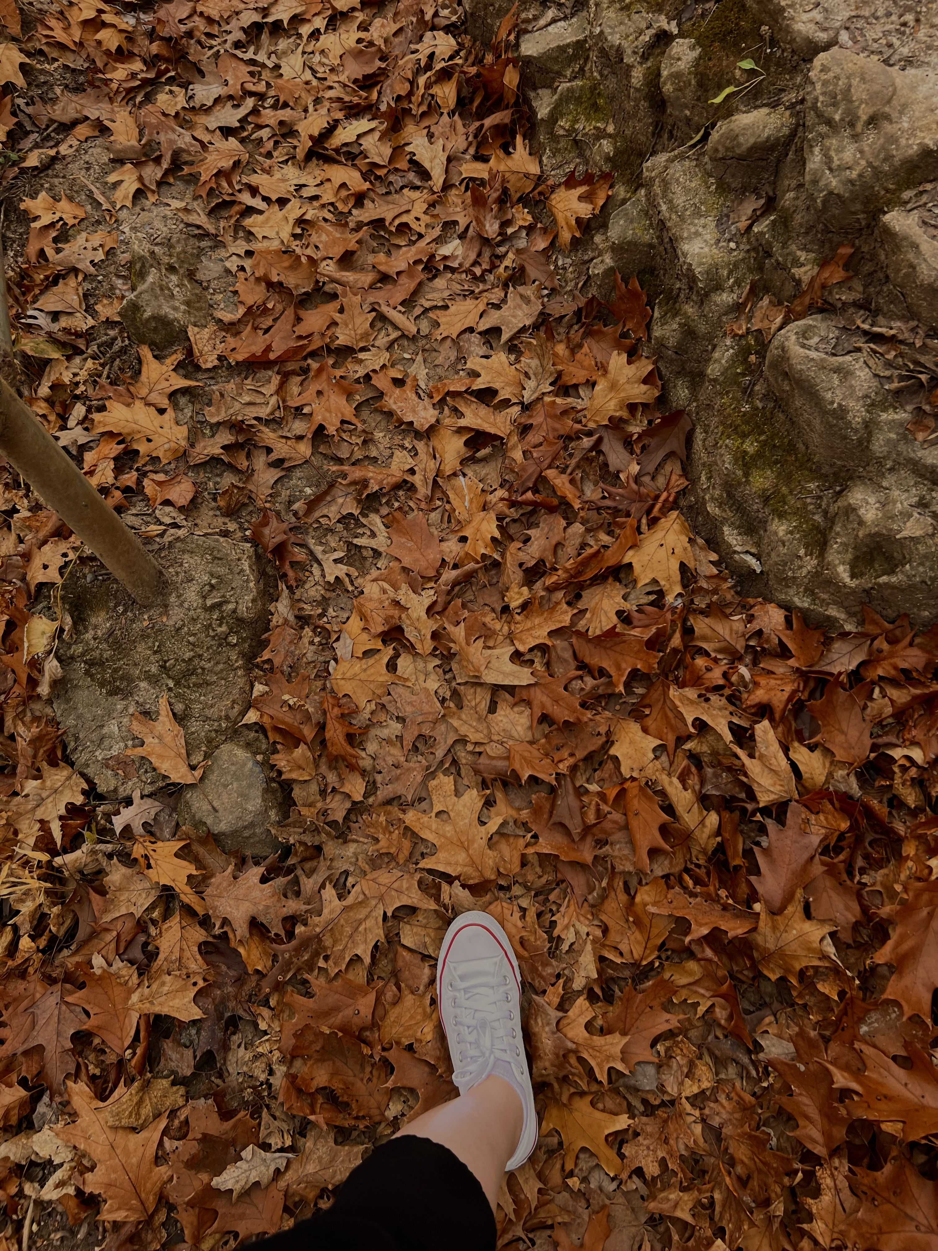 landscape 1