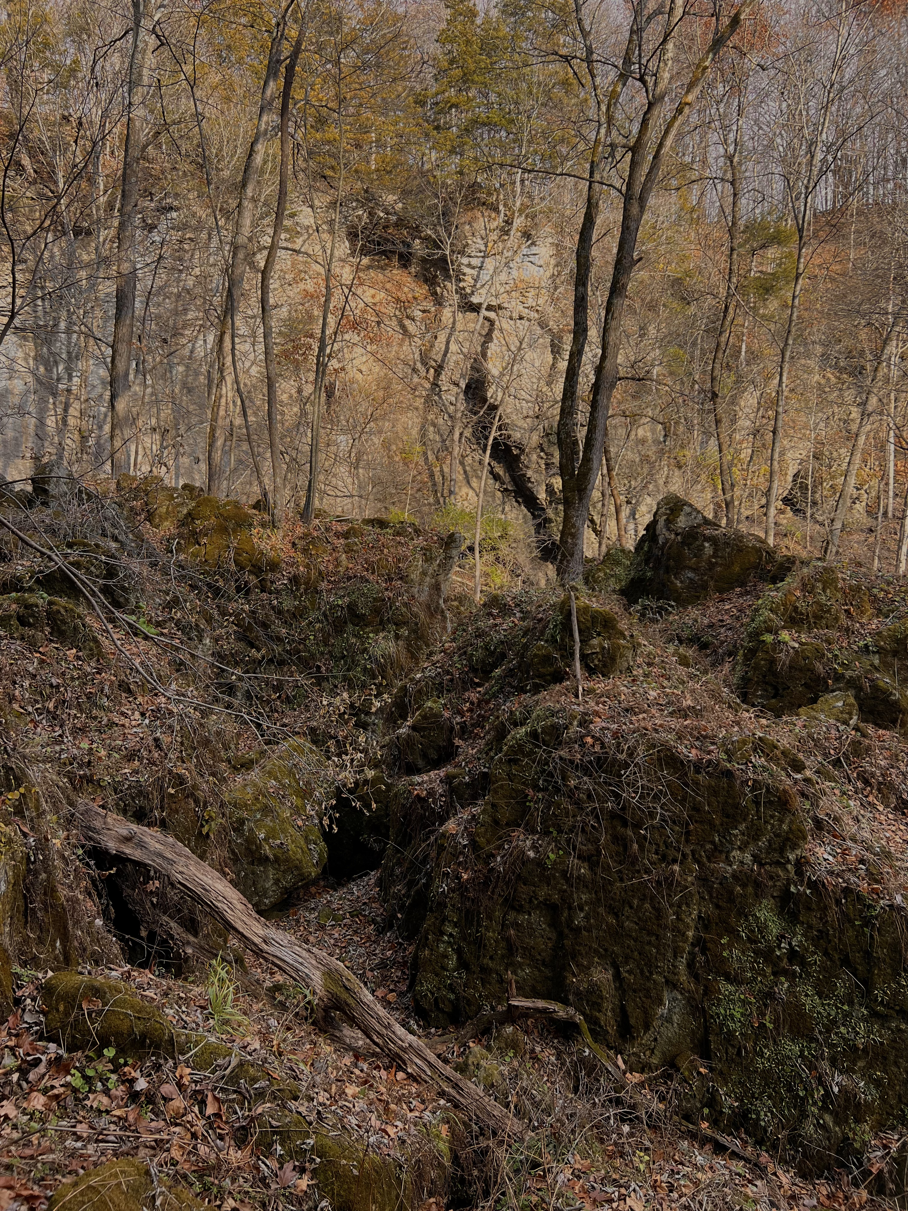 landscape 3