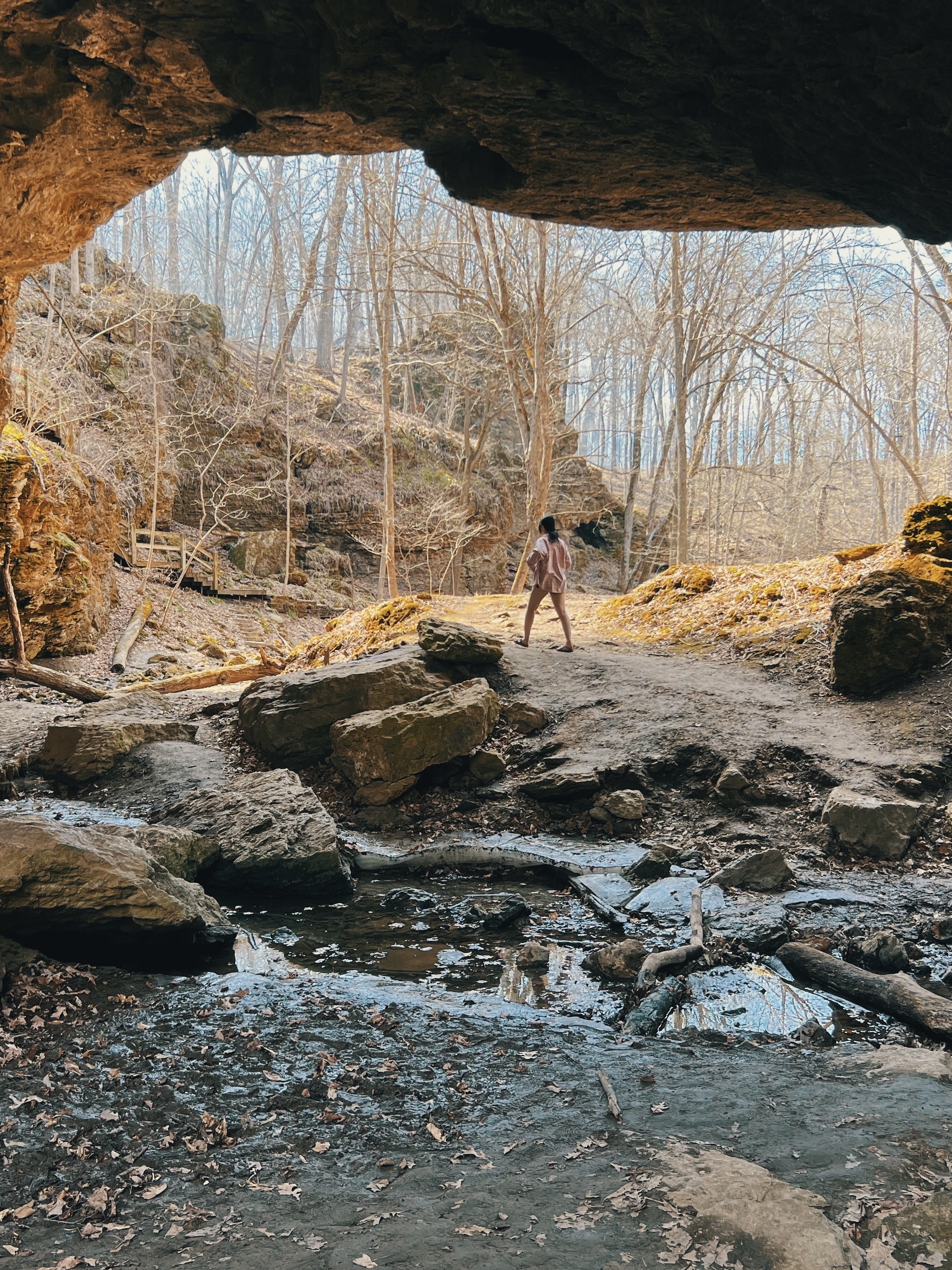 landscape 6