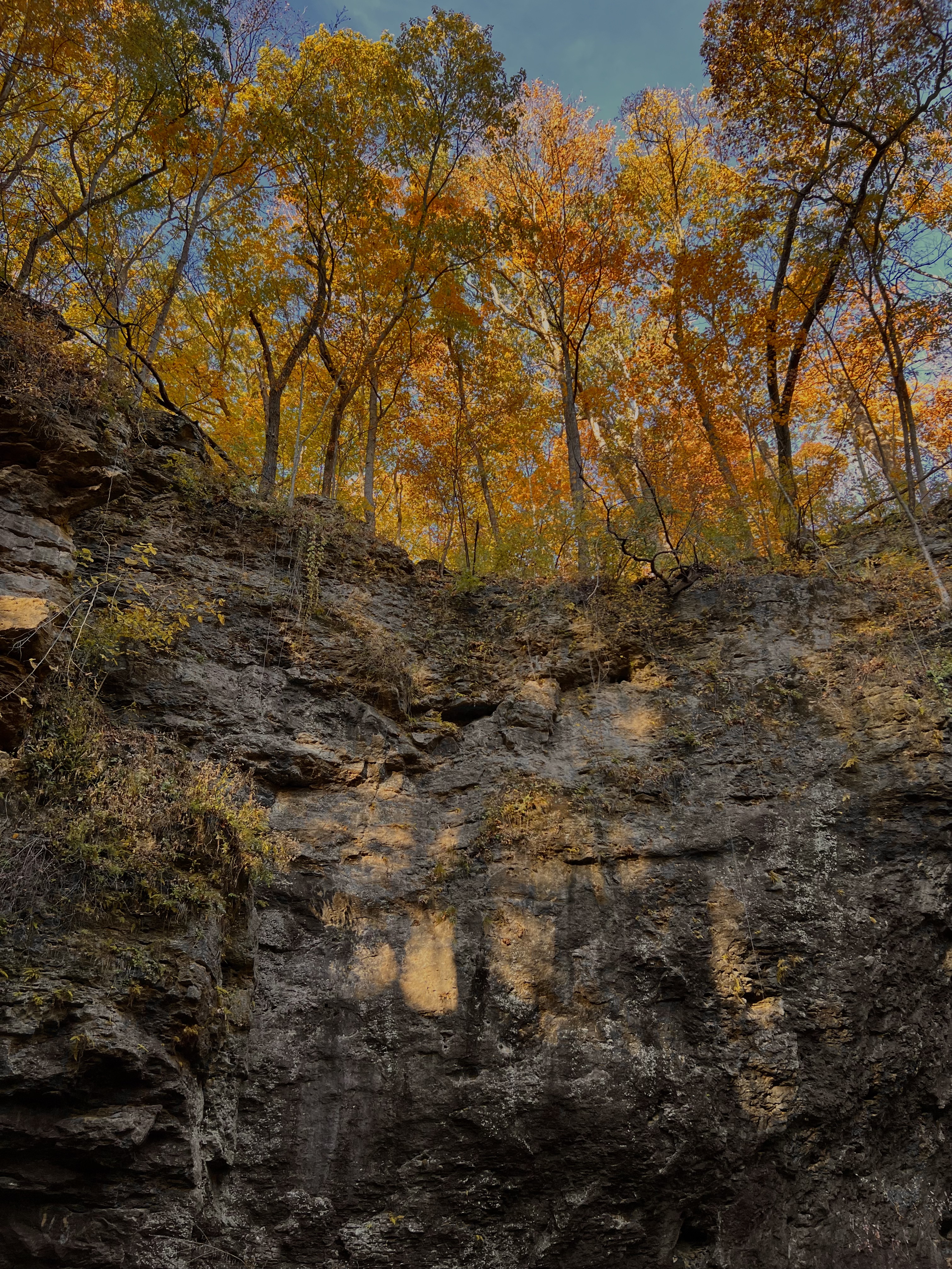 landscape 9