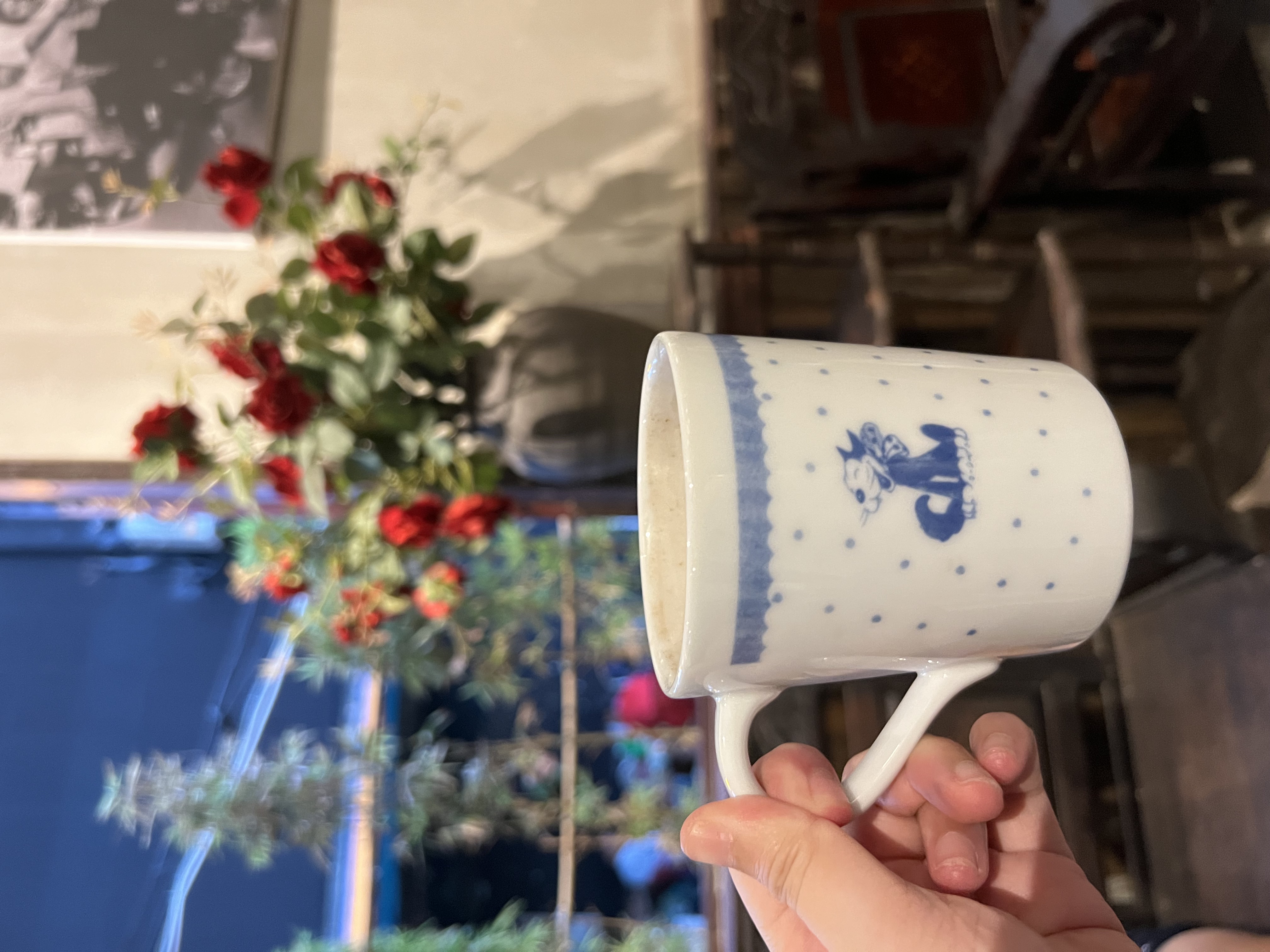 cafe nicotin
